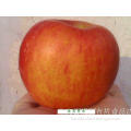 A good gift gifts home travel and leisure business owners of domestic Li Fu vegetarian collection of red apple banana